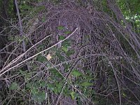 Itt nem azonosíthatók